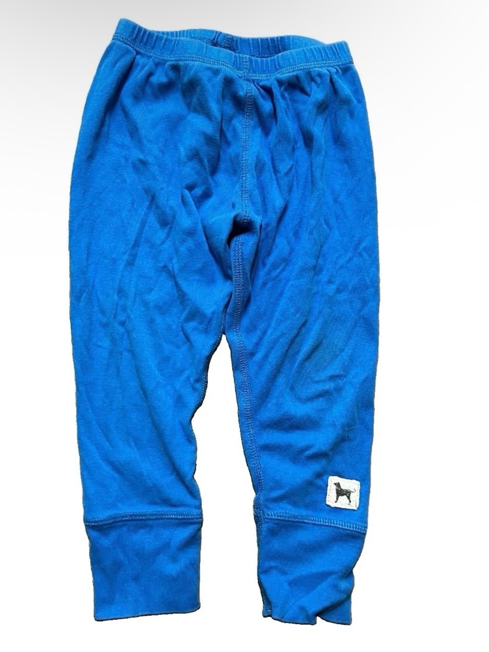 Toddler The Black Dog Blue Pants Size 3T